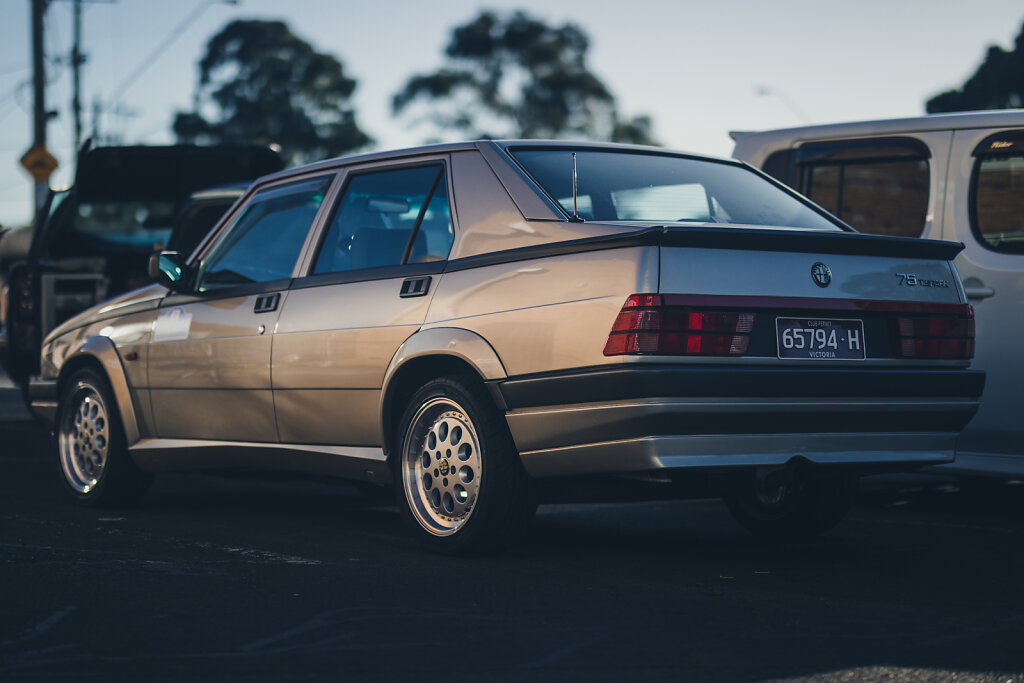 55A9955-Edit