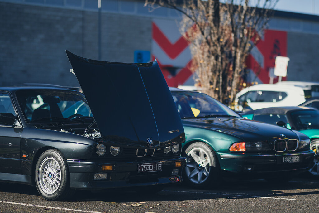 55A0116-Edit.jpg