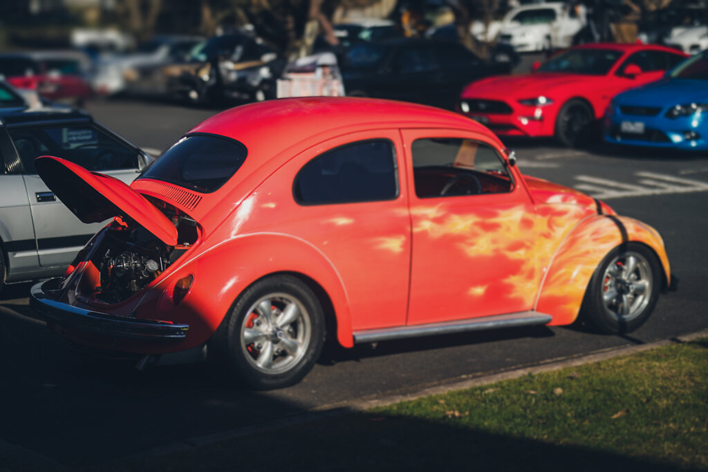 55A0158-Edit.jpg